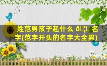 姓范男孩子起什么 🦟 名字(范字开头的名字大全男)